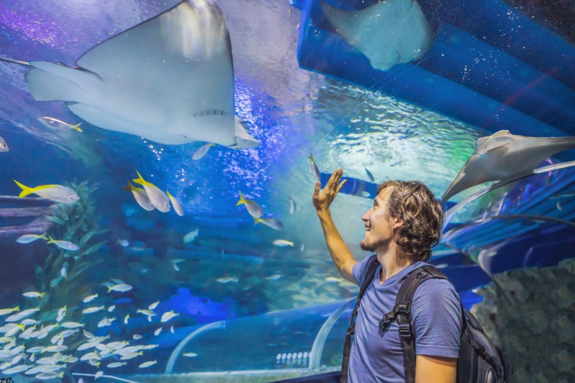 SeaWorld Orlando