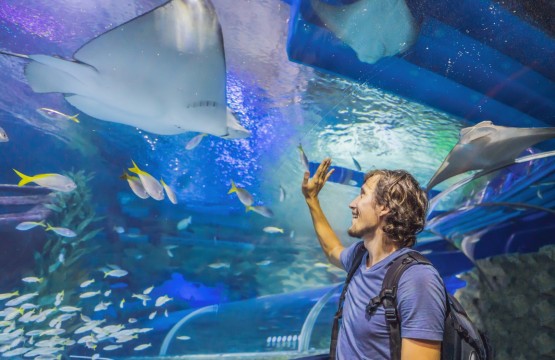 SeaWorld Orlando