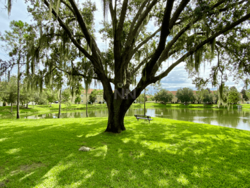 condominio-Compass-Bay-casa-na-disney-floria-eua-8 (1)