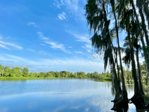 condominio-Formosa-Gardens-Casa-na-Disney-Orlando-Florida-EUA-2
